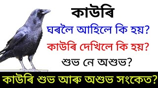 কাউৰি ঘৰলৈ আহিলে কি হয়||শুভ নে অশুভ||Assamese Astrology||Rajib Saikia Motivator