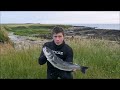 spearfishing with massive bass shoals in north wales