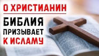 Библия отрицает веру в «трех богов»! | Время покаяния