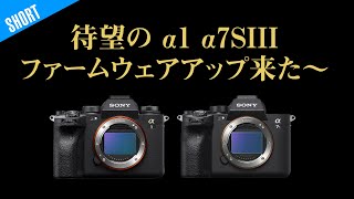 やっと本気を出した！SONY α1 α7SIIIファームウエアアップデート！期待はずれ？