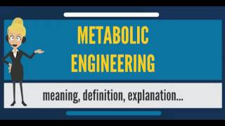 What is METABOLIC ENGINEERING? What does METABOLIC ENGINEERING mean?