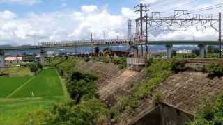 東海道本線 貨物列車 9863レ EF64-1000牽引 豊川放水路橋梁