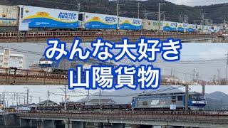 2022.2.20 みんな大好き山陽貨物　小雪舞う中、ロンチキ、遅1051レなど8本