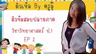 ติวข้อสอบปลายภาควิชาวิทยาศาสตร์ ป 1 EP 2