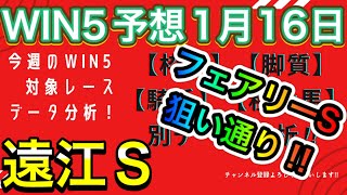 【競馬】WIN5予想1月16日 遠江S❗️フェアリーSは予想通りで単勝、馬単馬券的中🎯1月9日のWIN5的中から流れにノっています✨