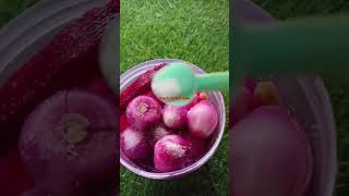 होटल जैसे सिरके वाली प्याज😋#onionrecipe#tasty#spicy#salad#shorts#viral