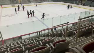 B2 - D Get Puck-Evasive Skating-Shoot - U17 M