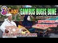 🎶3. Lagu. GAMBUS BUGIS BONE//MP3.MUSIK GAMBUS// Voc H.makmir & Mirna