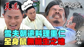 天道 EP236 完整版｜chef朝遠亂刀刺重仁 全身臟器壞光光｜FIGHT FOR JUSTICE｜【健康3D 紅麴+鉻雙效錠】