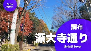 紅葉【深大寺通り】行く前にチェックin東京調布市 [Jindaiji-dori] Check in Chofu City before going