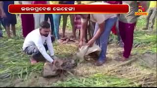 ଉଦ୍ଧାର ହେଲା ୧୧ ଫୁଟର ବୃହତ ଅଜଗର | NandighoshaTV