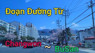 Ngắm Cảnh Đẹp Từ ChangWon Đi BuSan |cuộc sống hàn quốc| #357