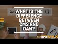 What is the Difference Between CMS and DAM?