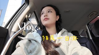 Vlog | Life in Kuala Lumpur, carbonara pasta and good dessert! 逛逛猫展的一天, 吉隆坡的生活日常, 悠闲的星期天