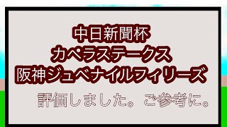 中日新聞杯　カペラステークス　阪神ジュベナイルフィリーズの全頭評価