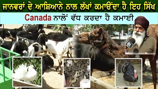 ਪੰਜਾਬ ਦਾ ਸਭ ਤੋਂ ਵੱਡਾ GILL STUD FARM,ਬੱਕਰੀ ਪਾਲਣ ਦੇ ਨਾਲ ਹੋਰ 7-8 FARMING ਕਰ ਵਿਦੇਸ਼ੀਆਂ ਨੂੰ ਪਾਉਂਦਾ ਹੈ ਮਾਤ