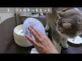 猫用給水器「ピュアクリスタルニャーロ」組み立てるニャ