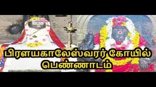 Pennadam || Sri pralayakaleswarar Temple || நாடுநாட்டில் 2 வது சிவ ஸ்தலம் || Udupihotel