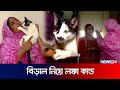 বিড়াল নিয়ে প্রধানমন্ত্রীর কার্যালয়ে অভিযোগ! | cat crisis | News24