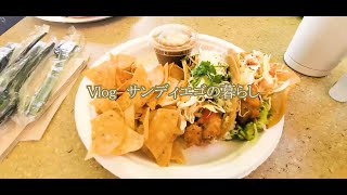 【Vlog】 サンディエゴで過ごす週末　観光スポットをお散歩　サンディエゴ名物ランチ