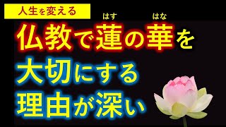 常識破りの「蓮華の教え」が、あなたの人生をガラリと変える