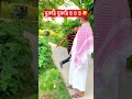 মুরুব্বি মুরুব্বি হু হু হু 🤣। bangla funny video । shorts funny comedy banglafunnyvideo viral