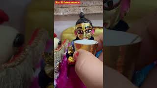 Laddu gopal bhog🥰#shorts#viral#ytshorts