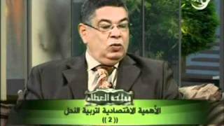 برنامج مملكة العطاء  13-1-2012 part 2.wmv