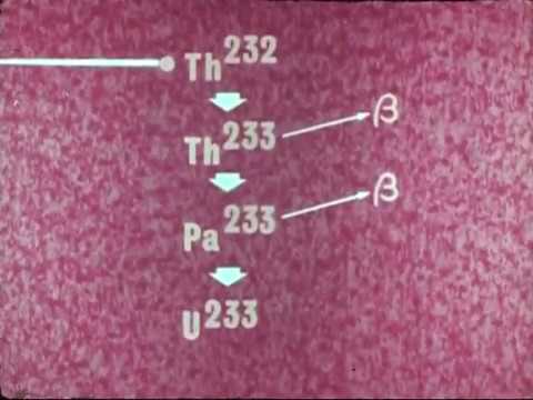 Which fuel is used in fast breeder reactor?