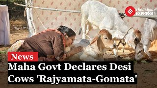 Maharashtra Declares Indigenous Cows 'Rajyamata-Gomata' to Honor Cultural Significance