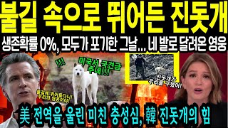 [해외감동사연] 최악의 산불 속 주인을 찾아 불길속으로 뛰어든 영웅 진돗개! 미 전역을 울린 그날의 사연은?