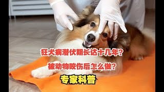 【科普多一点】狂犬病潜伏期长达十几年？被动物咬伤后怎么做？专家科普