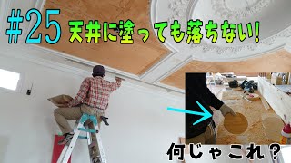 [大工さんの建築録#0150]空き店舗再生編#025　左官さんによる天井補修作業で見えてくる職人の凄さ！やはり下塗りって大事。