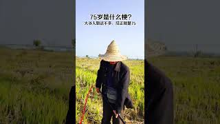 75岁大爷烧秸秆，胆子真大