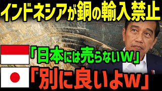 【自業自得】「もう輸出してあげない！」インドネシア政府が日本が最大の輸出先だった銅の輸出を禁止→結果ｗｗ【グレートJAPANちゃんねる】