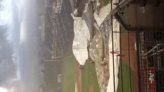 Storm hits Isotopes Park