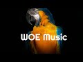 (WOE Music)