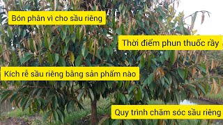 KỸ THUẬT CHĂM SÓC SẦU RIÊNG CON NHANH PHÁT TRIỂN