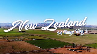 New Zealand 14 Days Road Trip Vlog 2｜紐西蘭14天探索之旅 Vlog 2｜基督城 Christchurch｜阿什威克弗雷Ashwick Flat