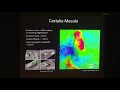 structure and thickness of europa s ice shell what we hope to learn from the europa clipper