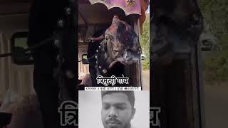 മൂന്നു തലയുള്ള ഒരു മൃഗം😧😱😱#animals #youtubeshorts #family #viralshort #shorts #youtubevideos