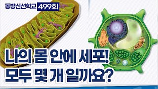 동방신선학교 [499회]  몸 안에 세포는 모두 몇 개 일까요? / 동방신선학교 수행의 시간