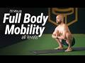 30 Minute Full Body Mobility Workout | All Levels, No Talking