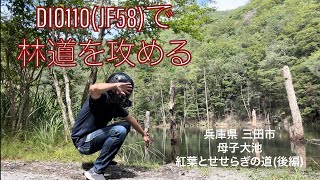 DIO110(JF58)で林道を攻める 兵庫県 三田市 母子大池 紅葉とせせらぎの道(後編)