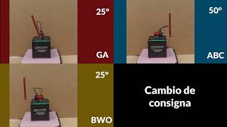 Metaheuristic algorithms for tuning the fractional PID controller-rotary Inverted pendulum-Quanser-