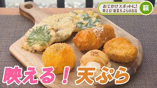 映える！総菜天ぷらのお店【熱血特集】