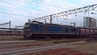 2024.11.09 貨物列車（3099列車）秋田駅発車 ※秋田駅約6時間52分後れ