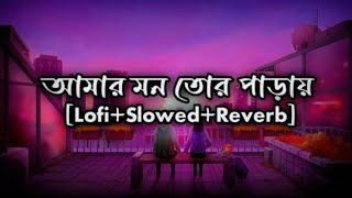 Amar Mon Tor Paray Lofi তোকে বলবো ভাবি কিছু অল্প কথায় Bangla Song Bangla Mashup Song