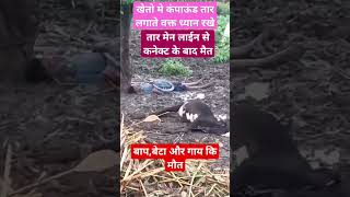 शेतात तार कुंपण करताना सावधान||shetat tar kumpan karatana savadhan||@TOOFAN_k #viral#g20#fifa