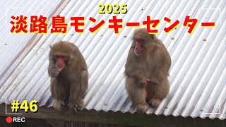 [#46] 淡路島モンキーセンター 2024年 年末 淡路の男達